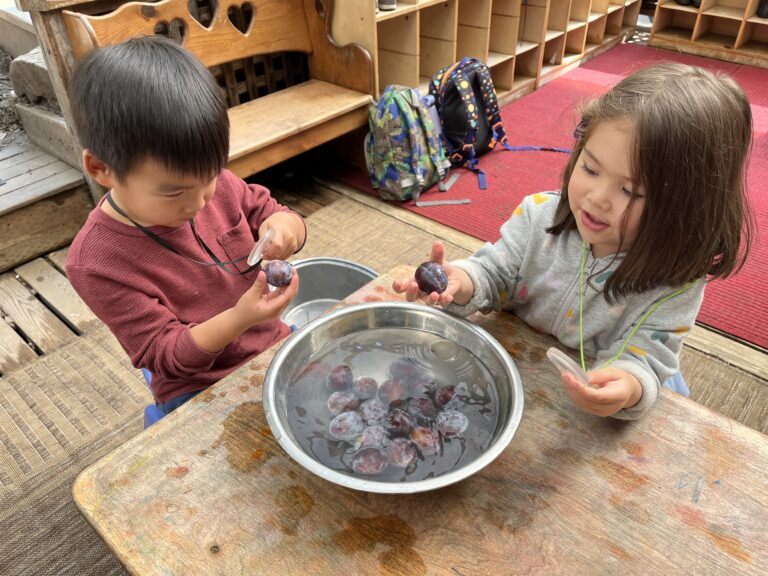 Songbirds Preschool carousel 16